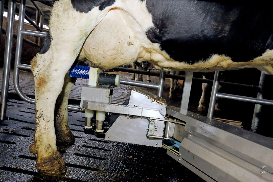 De robotmarkt is al jaren aan het groeien. De flexibiliteit, arbeidsgemak en de gigantische hoeveelheid bruikbare data zijn kenmerken waarmee de automatische melksystemen de boeren overtuigen.