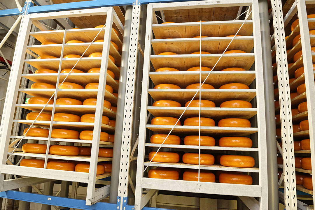 De prijs van kaas blijft achter ten opzichte van andere zuivelprijzen. Gele kaas zou door de ¬ 3-grens moeten stijgen, maar dat is nog niet gebeurd.