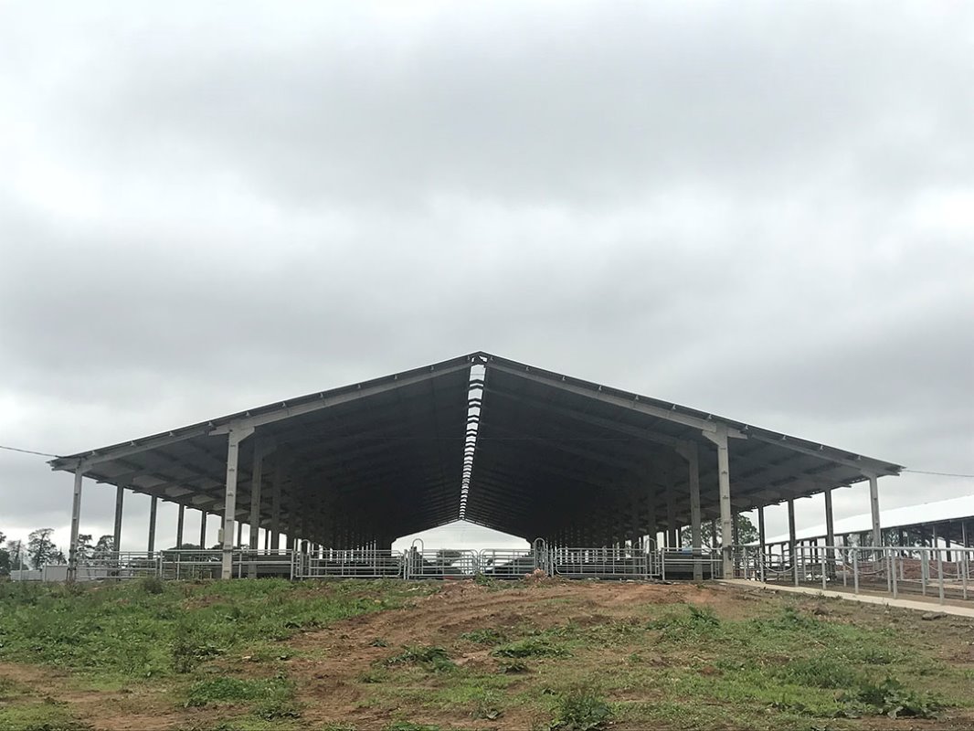 Toonaangevend Braziliaans melkveebedrijf breidt uit naar 1.000 koeien