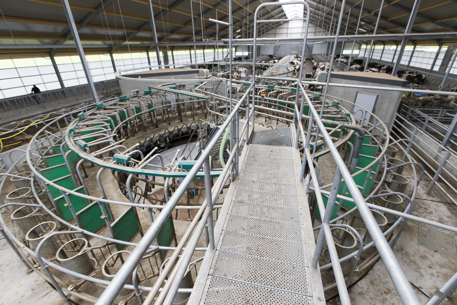 Op naar 2,3 miljoen kilo melk in nieuwe stal