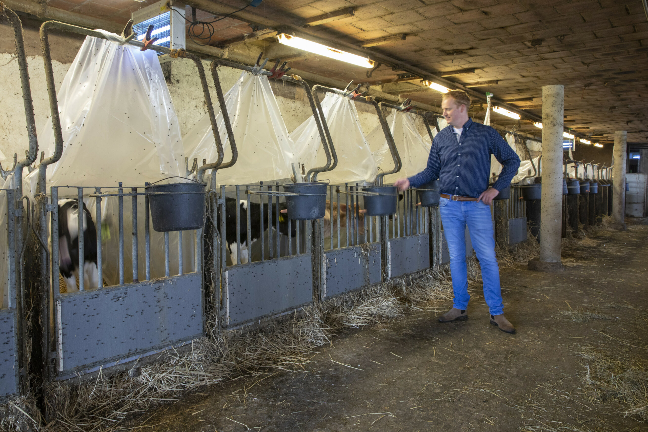 Mantgum-20181005 Cees Middelweerd, melkveehouder.