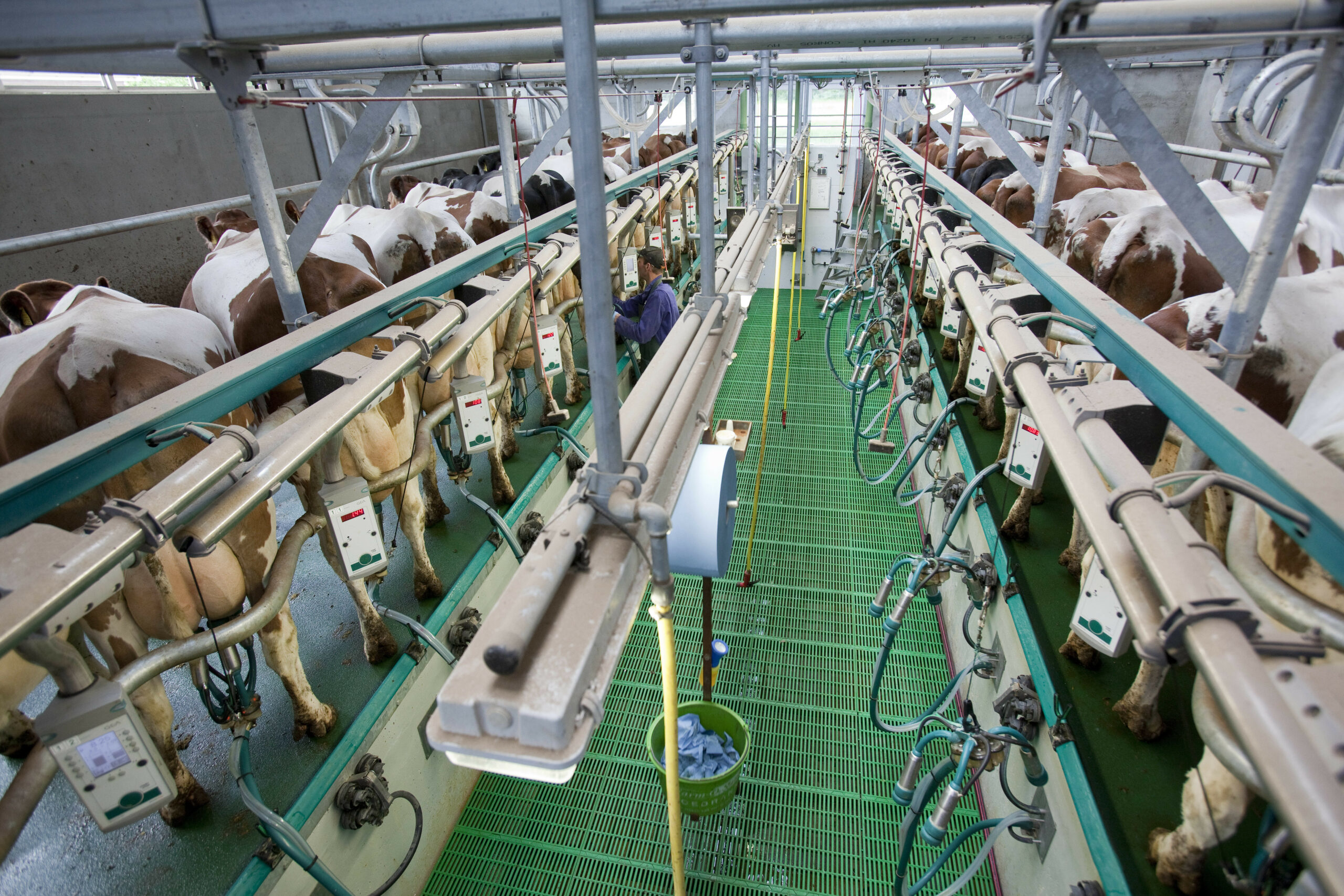 Door automatisering ontstaan nieuwe risico s op melkveebedrijven. Elektra in de stal geeft meer kans op brand. Ook kunnen de gevolgen van stroomuitval groot zijn.