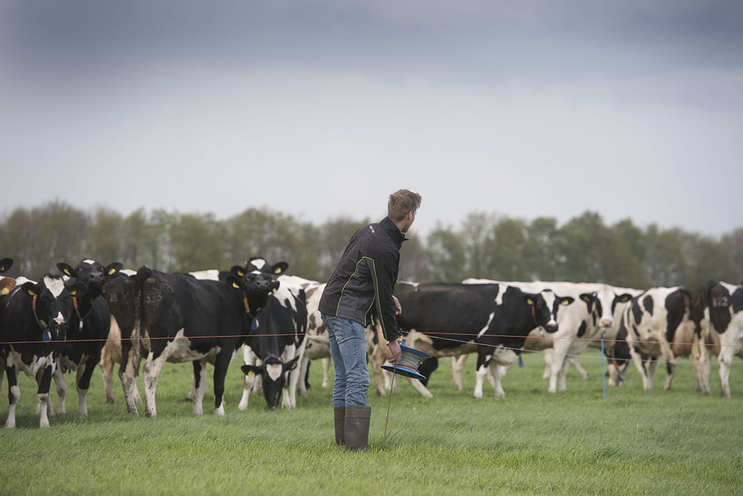 Uit de cijfers van Flynth komt naar voren dat melkveehouders met een beweidingstijd van 120 tot 201 dagen de hoogste saldo s realiseren. Zowel korter als langer beweiden geeft een druk op het saldo.