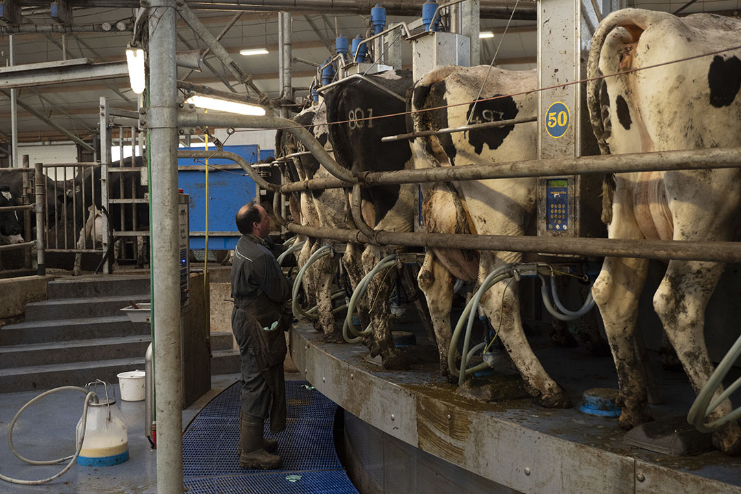 Vernieuwing met duurzame stal voor vijfhonderd koeien