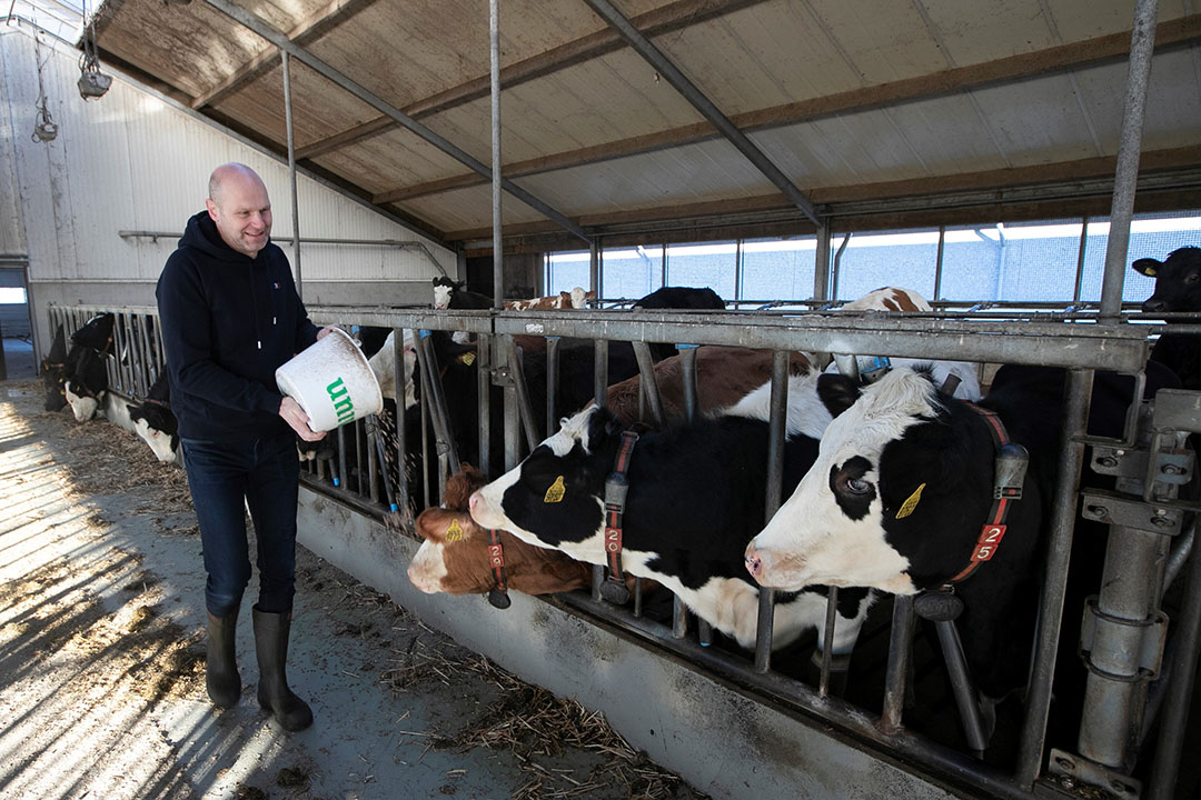 Melkveehouder en Future Farmer Erik Back (46) in Lutten (Ov.). - Foto: Hans Banus