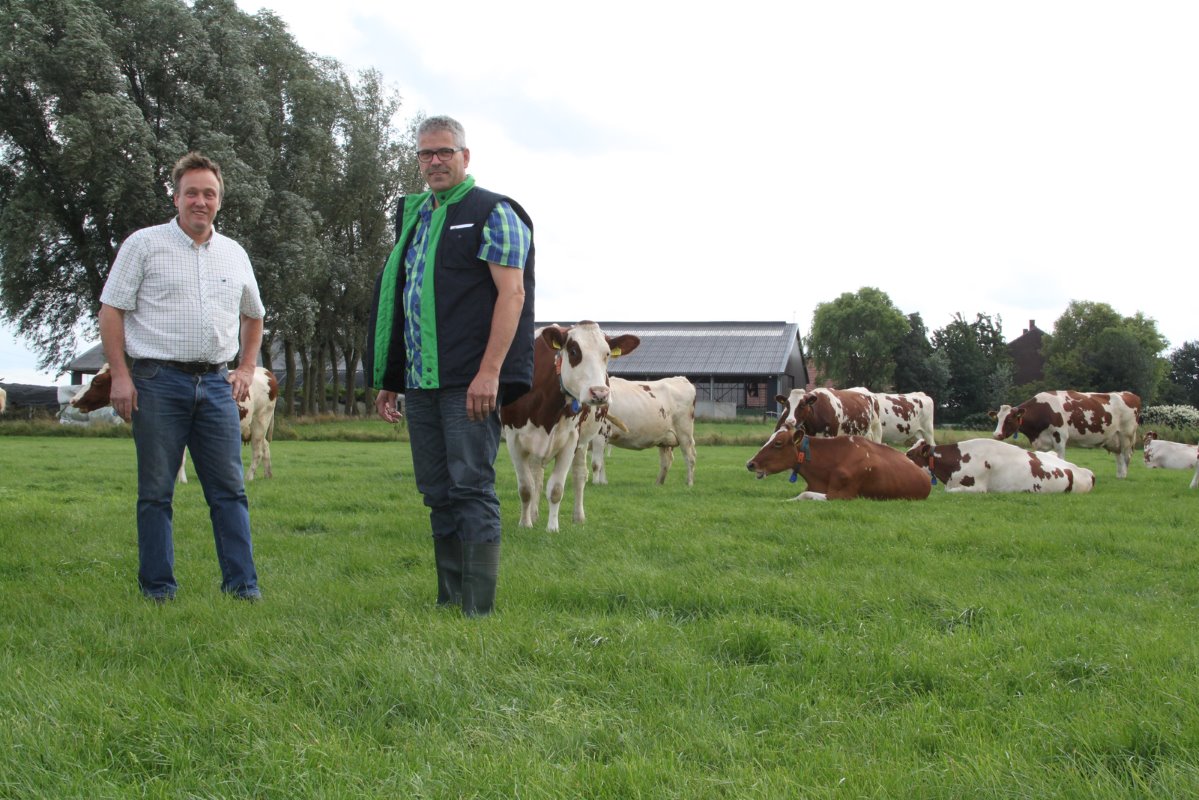 Thieu Bongers, samen met Henk Dings, zijn adviseur Rundvee van Agrifirm Feed. Naast melkveehouder is de Limburgse Bongers actief als gemeenteraadslid in Leudal en bestuurslid bij waterschap Peel en Maasvallei.