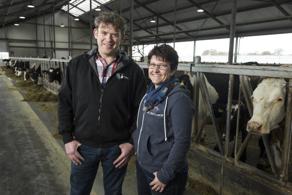 Jan (42) en Reinolda (42) Krooneman houden in Nunspeet in vof 115 melkkoeien en 80 stuks jongvee op 75 hectare land. Begin 2013 nam de vof een nieuwe ligboxenstal met capaciteit voor 125 melkkoeien in gebruik.