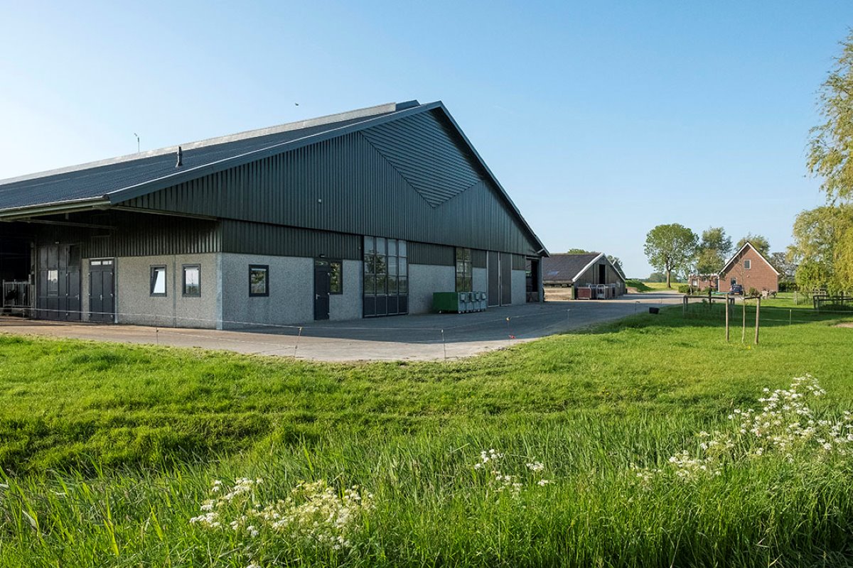 Het melkveebedrijf van de familie Giesen ligt in het Nationaal Landschap Middag-Humsterland in Groningen en heeft 24 hectare natuurland omdat het gebied zich hiervoor goed leent.