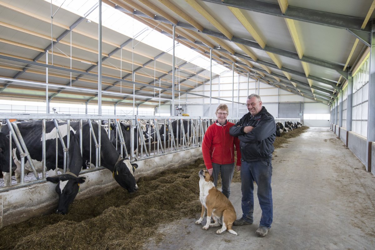 Willy (54) en Toos (51) Aarts hebben in Hallum (Fr.) een bedrijf met 210 melk- en kalfkoeien en 160 stuks jongvee. De vof gebruikt 110 hectare (93 ha eigendom) Zoon Stefan (27) zit ook in de vof. Hij heeft een fulltimebaan bij ABN AMRO (relatiemanager agrarisch). Foto's: Anne van der Woude