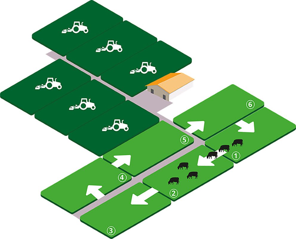 Nieuw Nederlands Weiden werkt met een weideplatform en een maaiplatform. Het weideplatform is onderverdeeld in 4 tot 6 gelijke percelen. De koeien grazen elke dag in een ander perceel, in een vaste volgorde.