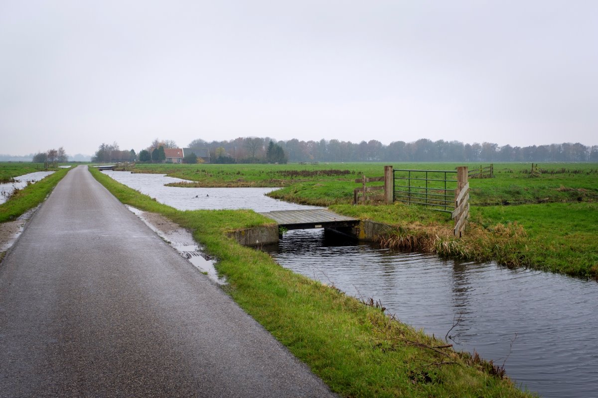 De fraaie polder Oukoop. Hier schakelde de Goeij een paar jaar geleden op verzoek van de gemeente Reeuwijk en de provincie om van gangbare melkveehouder naar biologische natuurbeheer. Ook zette hij in 2015 een vrijloopstal voor 200 melkkoeien.