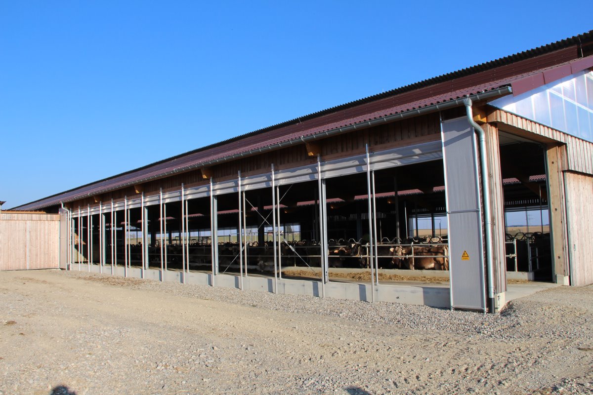 <p>In juni 2014 werd de nieuwe stal met 220 ligplaatsen en een 28-stands binnenmelker opgeleverd. Dit vergde een totale investering van ruim €11.000 per koeplaats.</p>’ title=