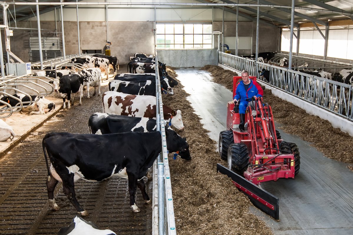 Momenteel worden circa 65 voornamelijk zwartbonte koeien gemolken, maar dat aantal moet toenemen tot 120, 130 stuks. Hulskotte exploiteert het bedrijf in een vof met een neef.