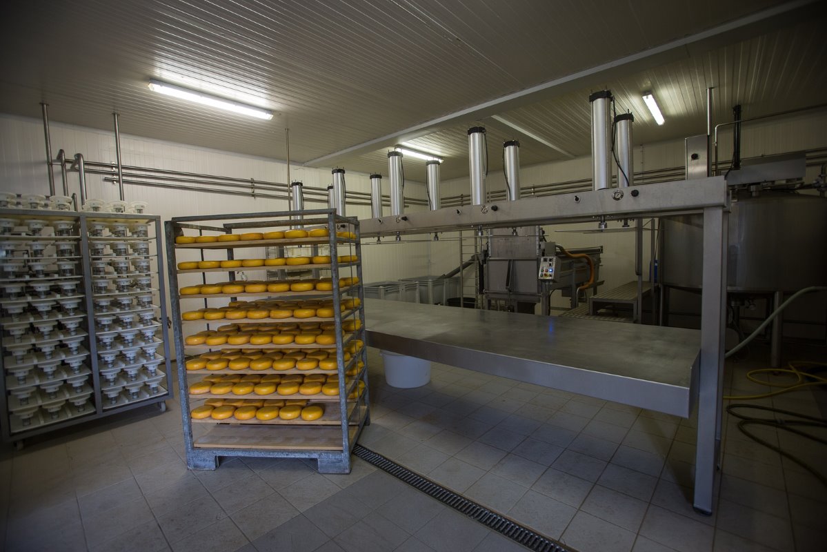 Dournez kán dat ook doen, doordat hij ongeveer een kwart van de melk zelf verwerkt. Daar wordt onder meer kaas, karnemelk, boter en kwark van gemaakt. Die producten gaan naar de handel, maar ook naar collega-boeren met boerderijwinkels.