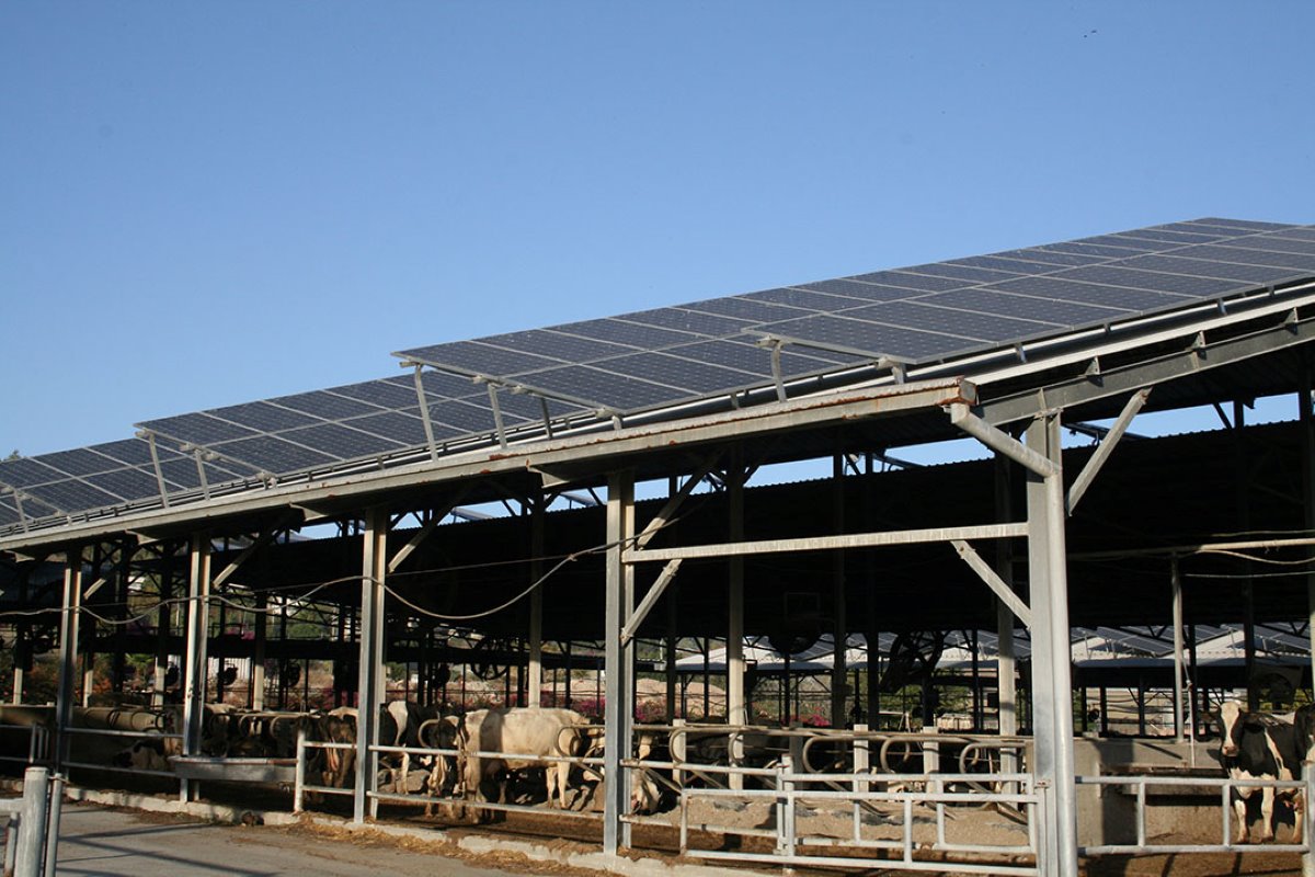 De kibboets is begonnen met het plaatsen van zonnepanelen op de daken. Veel zonneparken staan in de woestijngebieden maar ook veehouders maken er steeds meer gebruik van.