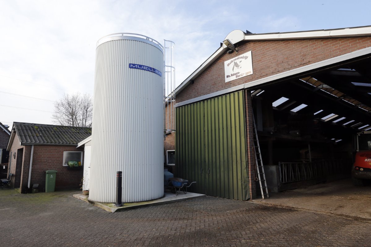 Dit jaar is er ook een nieuwe, grotere melktank met capaciteit van 32.000 liter geplaatst. Die staat nu nog tegen de oude stal aan, maar zal verhuizen als de melkrobots er zijn.
