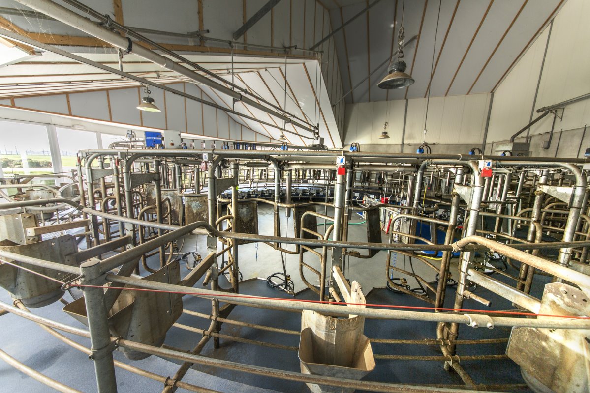 De 34-stands melkcarrousel bevalt erg goed. Een persoon kan 150 koeien per uur melken. En met 3 melkers op het bedrijf is dat qua arbeid prima rond te zetten. Door de vaste routes in de stallen, de grote wachtruimte en het opdrijfhek gaat het melken altijd vlot.