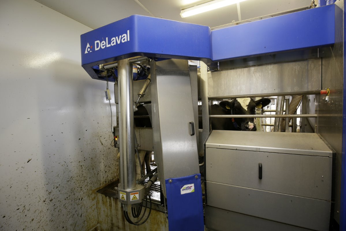 De twee melkrobots zijn geleverd door DeLaval. Albert-Jan Zijlstra: "We hebben veel positieve ervaringen van collega-boeren gehoord over dit type robot. Met DeLaval kun je veel dingen snel regelen. Het bedrijf heeft hier ook de melktank, de mestrobot en een buffervat geleverd."