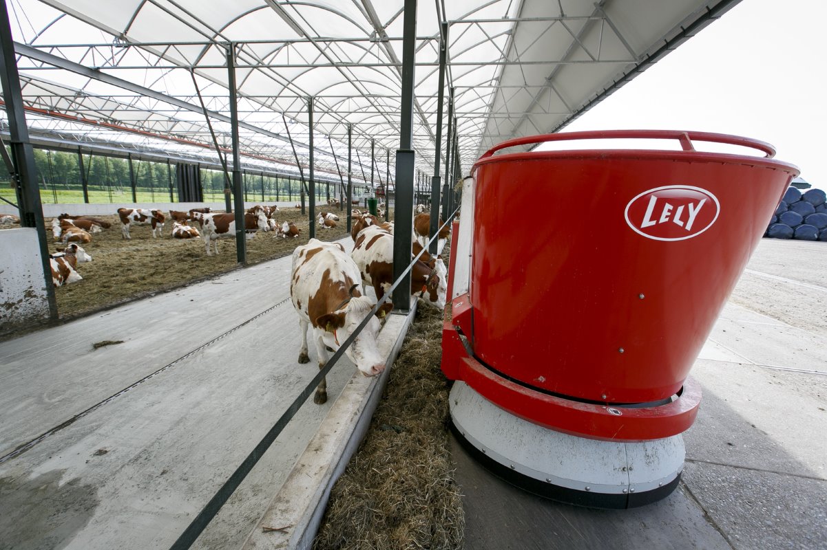 Duijndam koos voor een Lely-voerrobot. Inclusief voerkeuken - die bevindt zich in een andere stal - kostte de robot €180.000. De veehouder is er tot nu toe erg tevreden over. Het arbeidsgemak is groot, de koeien vreten meer en het stalritme (rust) is beter.