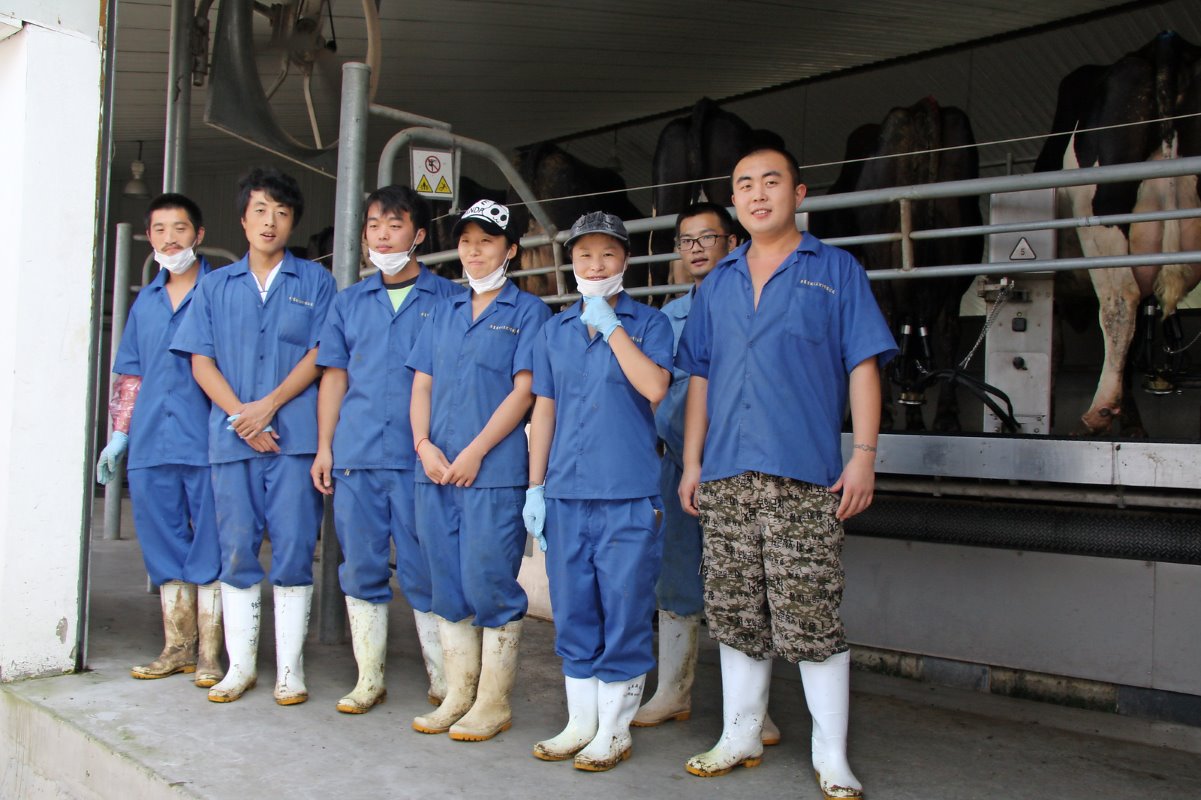 Huaxi Farm heeft drie fulltime dierenartsen in dienst. Studenten van de universiteit lopen er stage.