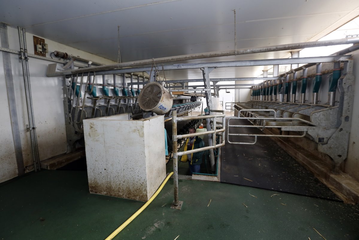 Duijndam melkt in een 2x15-zij-aan-zijmelkstal. Ook zonder wachtruimte komt 90 tot 95% van de koeien automatisch naar de melkstal. De melkmeting werkt nog niet goed en geeft teveel afwijkingen.