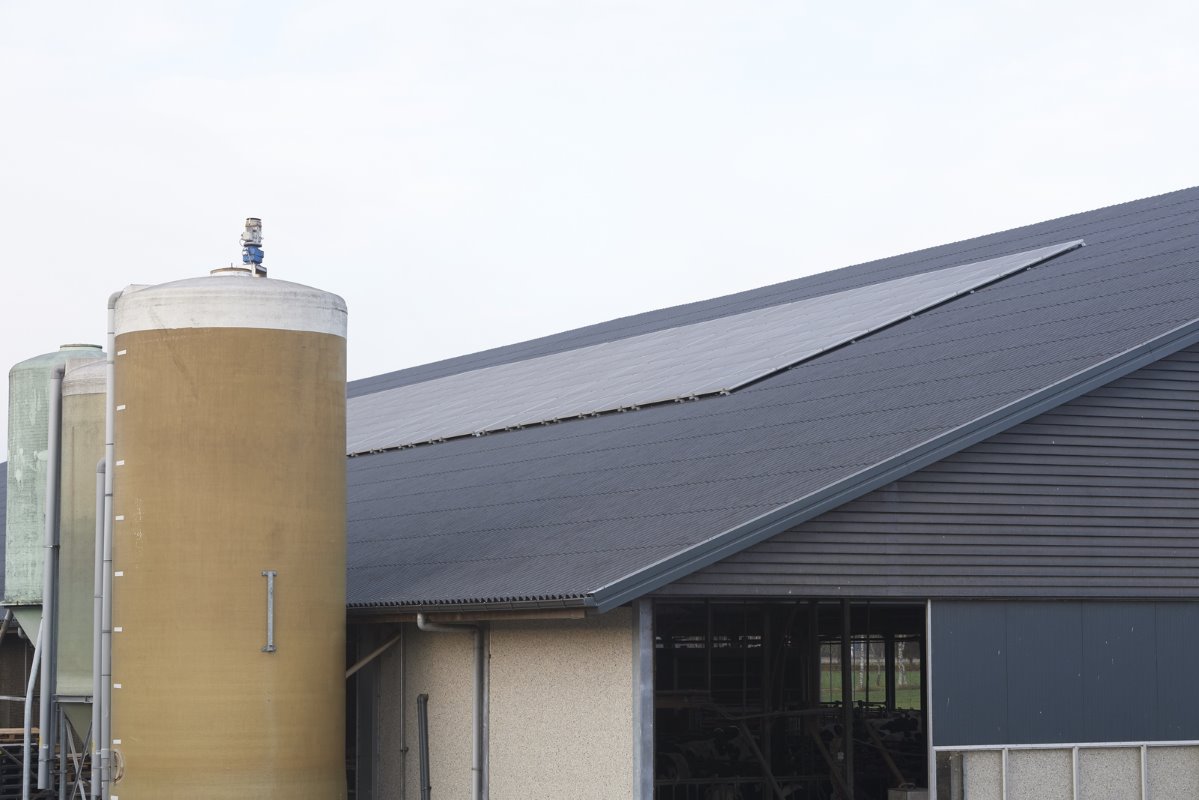 Op het dak van de ligboxenstal liggen 196 zonnepanelen. Die leveren 45.000 kilowatt. Ongeveer 40% van het bedrijf draait op deze zonne-energie.