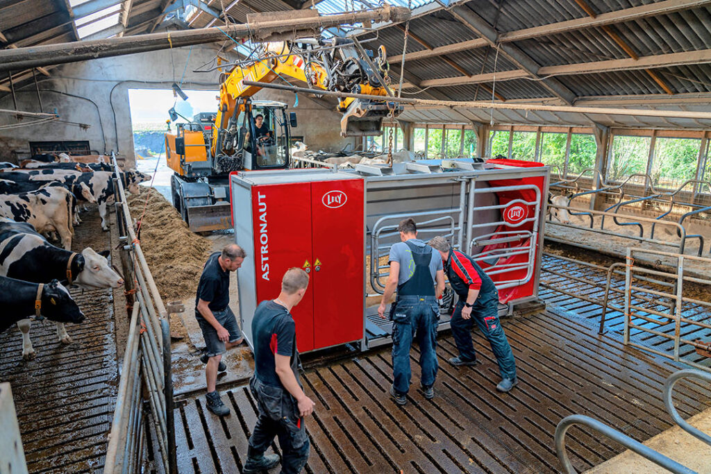 Voor Topondernemers In De Melkveehouderij - Melkvee100plus