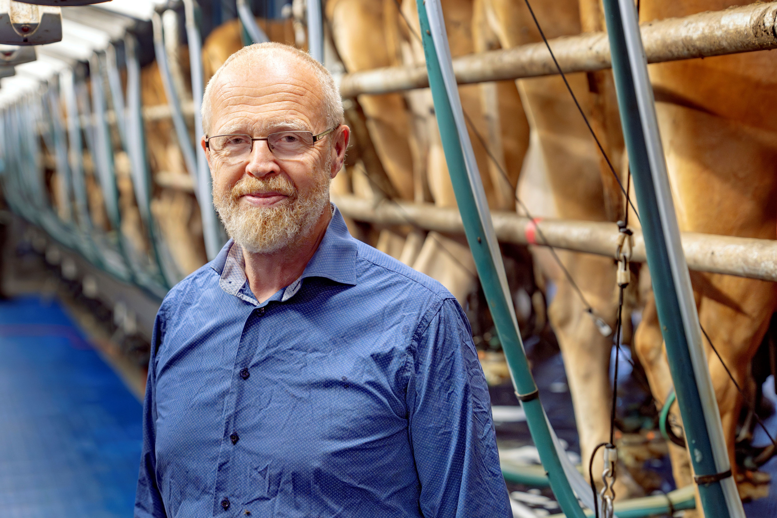 Steen Norgaard Madsen is de voorzitter van de Deense zuivelvereniging Mejeriforening, de Deense equivalent van NZO. – Foto: Mejeriforening