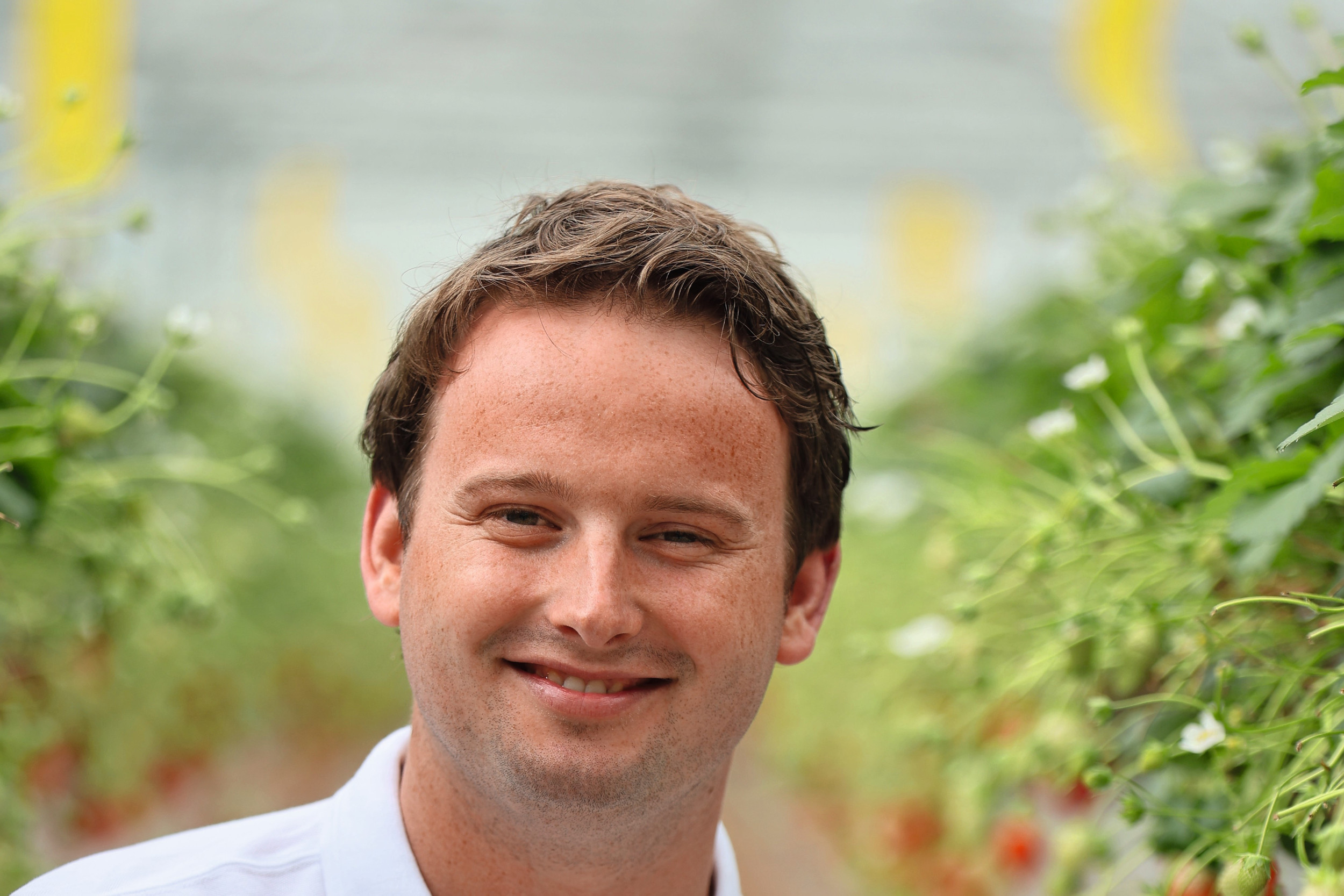 Rens van Rijckevorsel (25) heeft in Etten-Leur (N.-Br.) een glastuinbouwbedrijf van 4,3 hectare. Op termijn wil hij samen met zus Marit (26) het ouderlijk bedrijf overnemen.